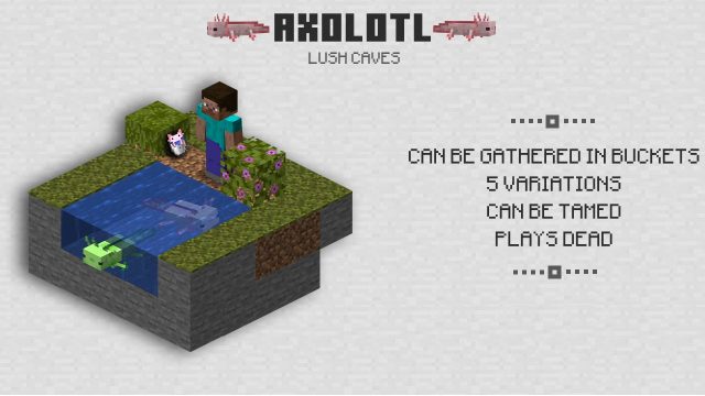 Download Minecraft 1.16.230.52 Free APK - Axolotls