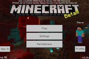 Download Minecraft PE 1.16 apk free: Nether Update
