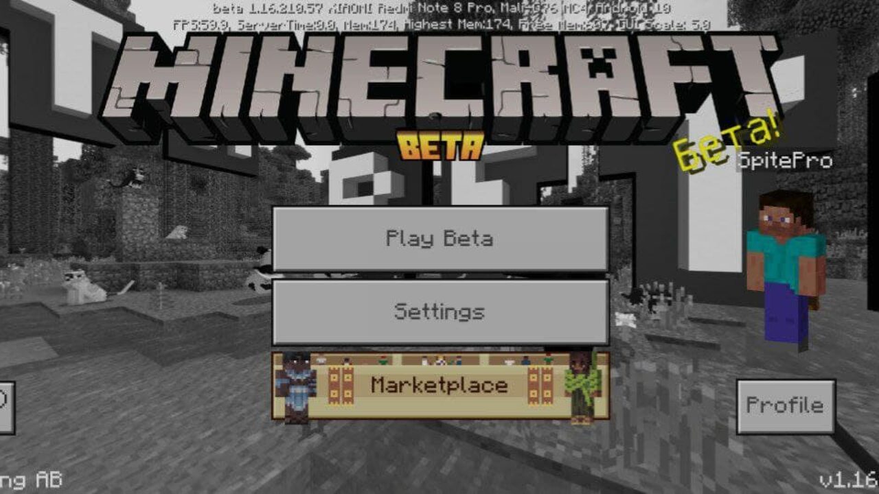 Minecraft PE 1.16.210.57