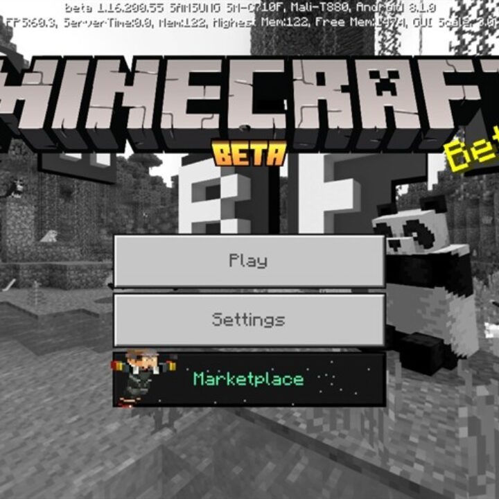 Minecraft PE 1.16.200.55