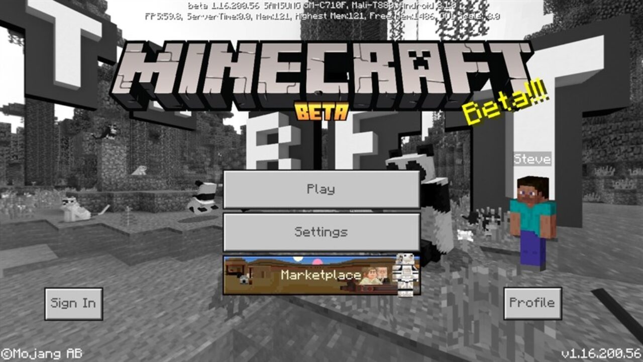 Minecraft PE 1.16.200.56