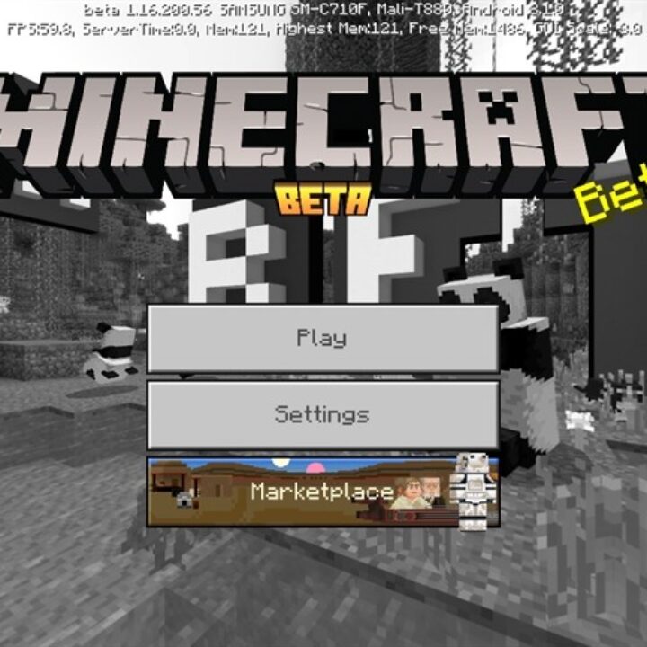 Minecraft PE 1.16.200.56