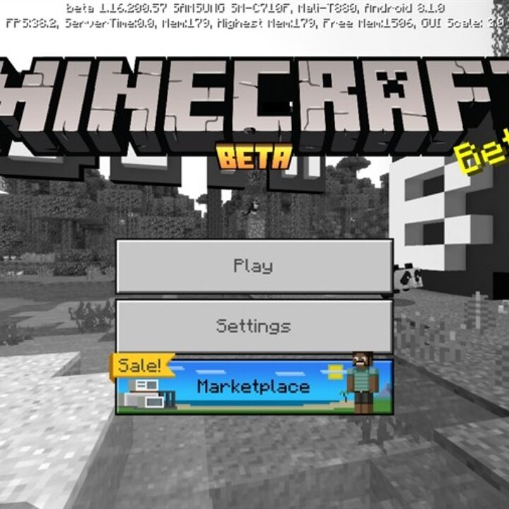 Minecraft PE 1.16.200.57