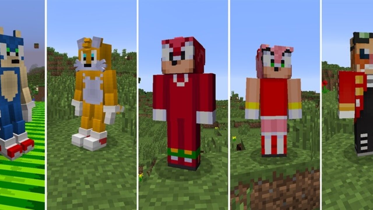 Characters in Sonic MCPE Mod