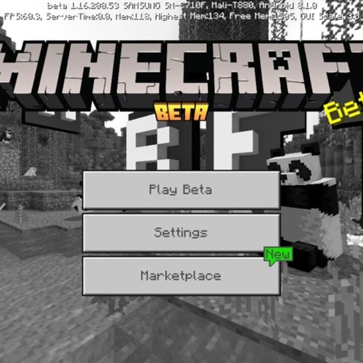 Minecraft PE 1.16.200.53