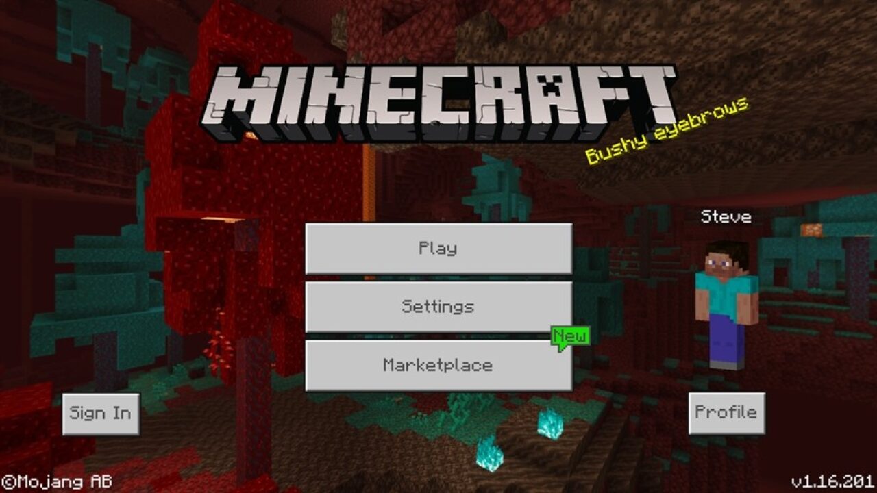 Minecraft PE 1.16.201