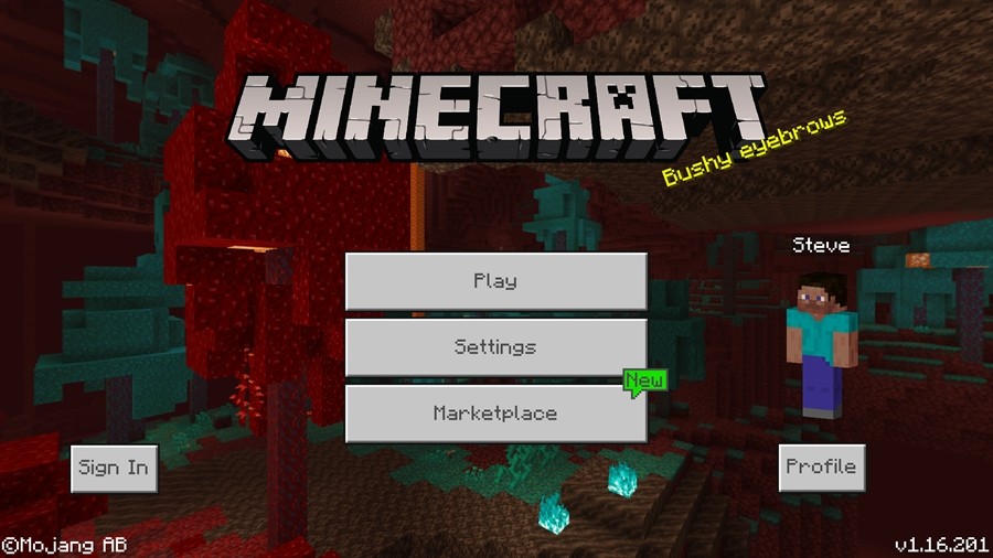 Download Minecraft 1 16 221 Apk