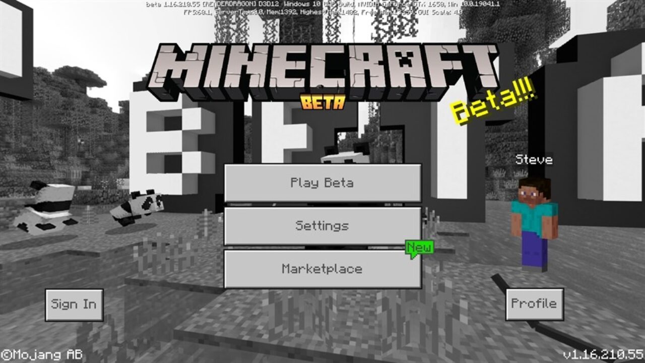 Minecraft PE 1.16.210.55