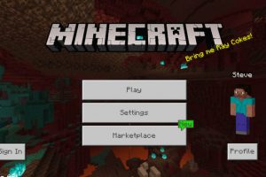 Download Minecraft Pe 1 16 Apk Free Nether Update