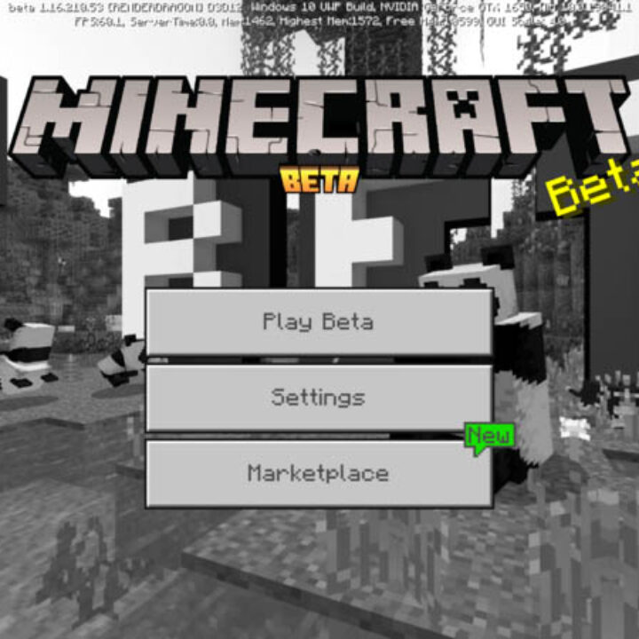 Minecraft PE 1.16.210.53