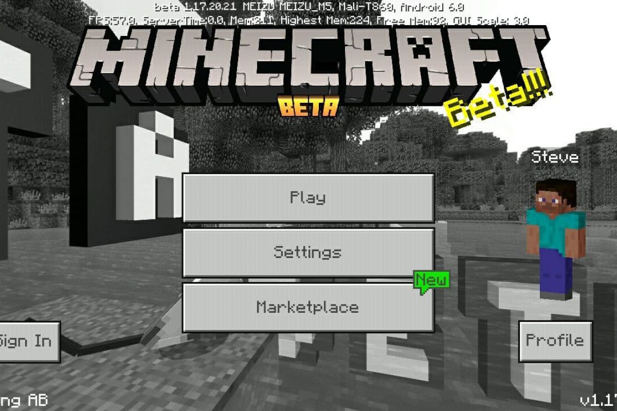 Minecraft 1.16.201 apk free download
