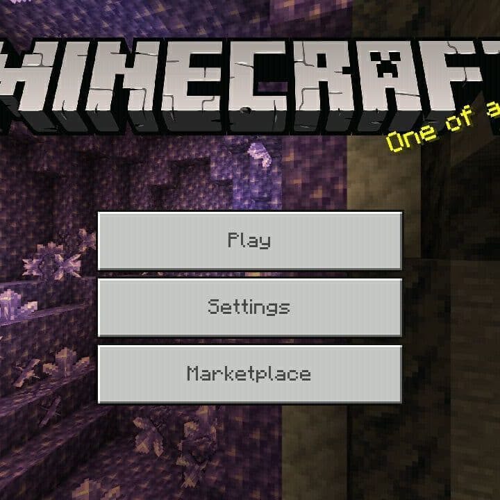 Minecraft 1.17.10