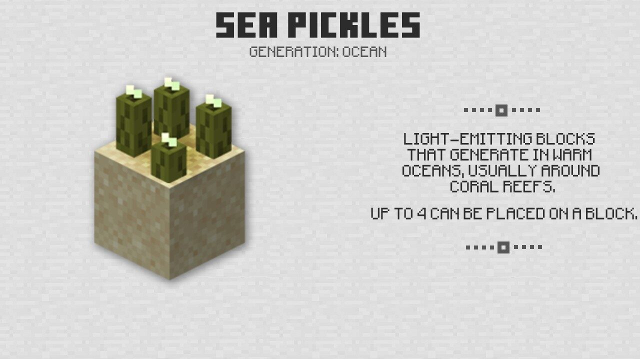 Sea pickles