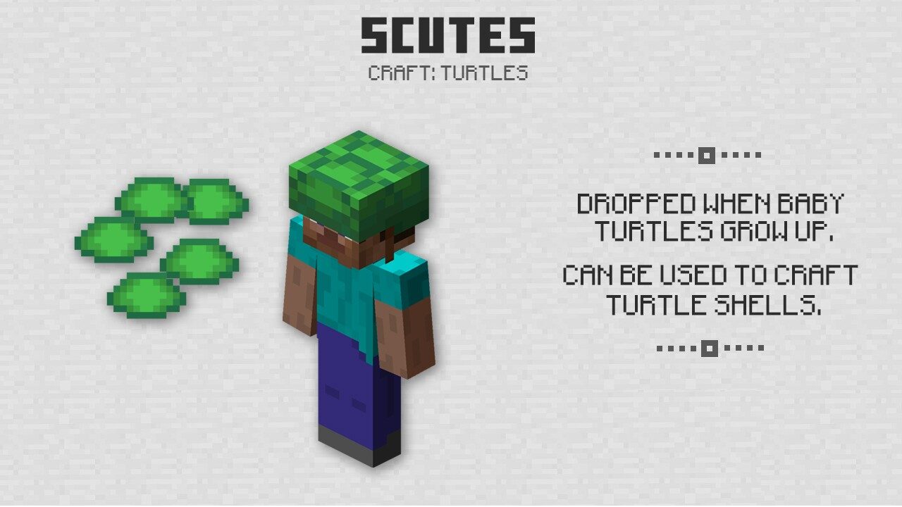 Turtle shells in Minecraft PE 1.5