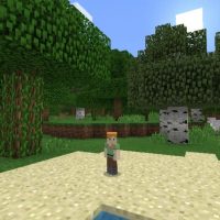 Baby Mod for Minecraft PE