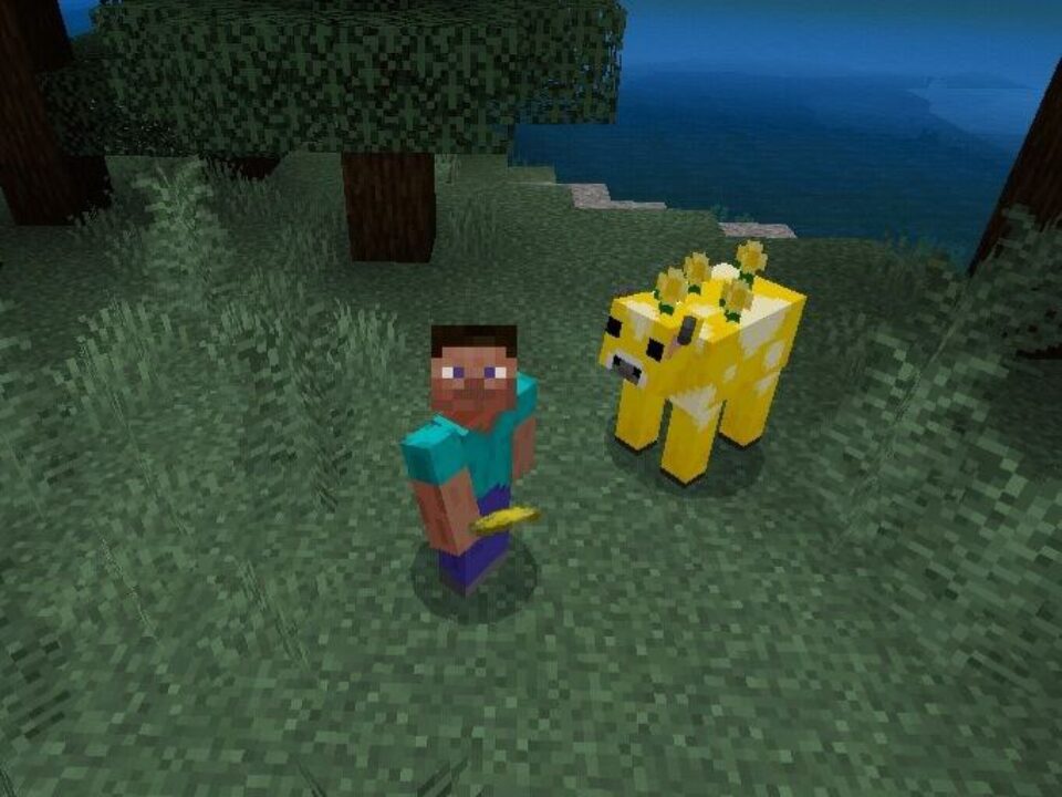 Biomes Mod for Minecraft PE