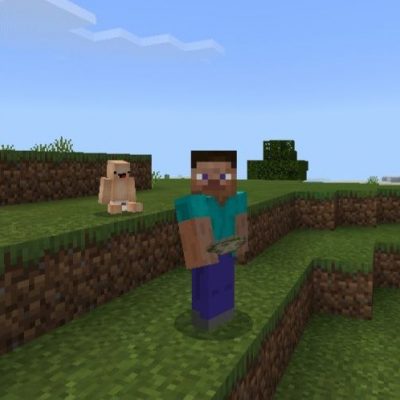 Family Mod for Minecraft Bedrock