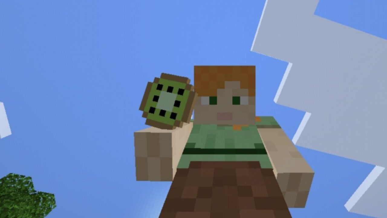 Kiwi from Food Mod for Minecraft PE