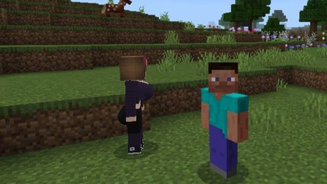 Steve and Girl from Jenny Mod for Minecraft PE