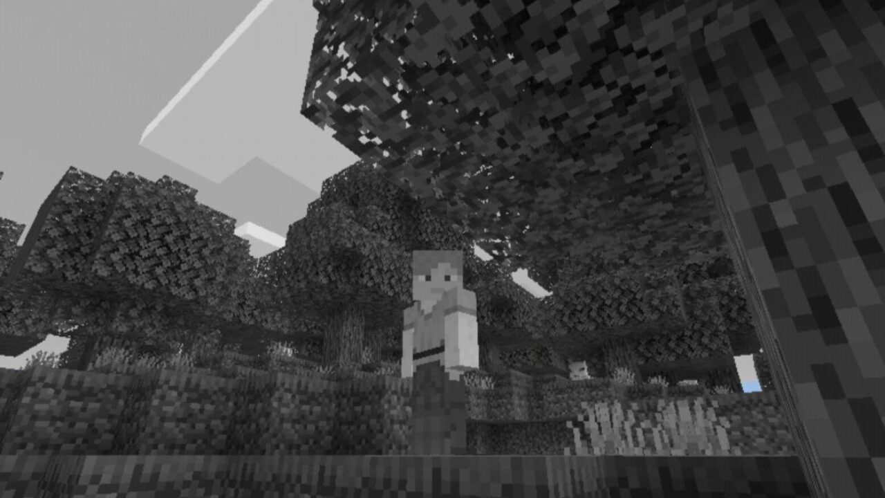Black and White Texture Pack for Minecraft PE