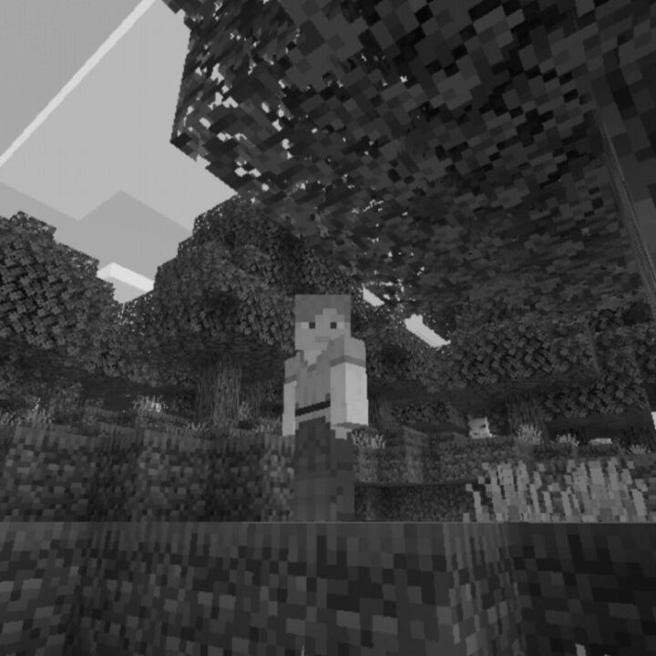 Black and White Texture Pack for Minecraft PE