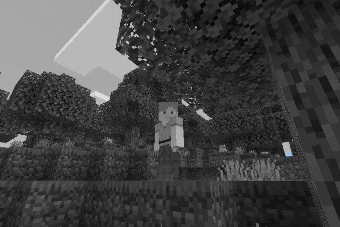 Download Black and White Texture Pack for Minecraft PE monochrome