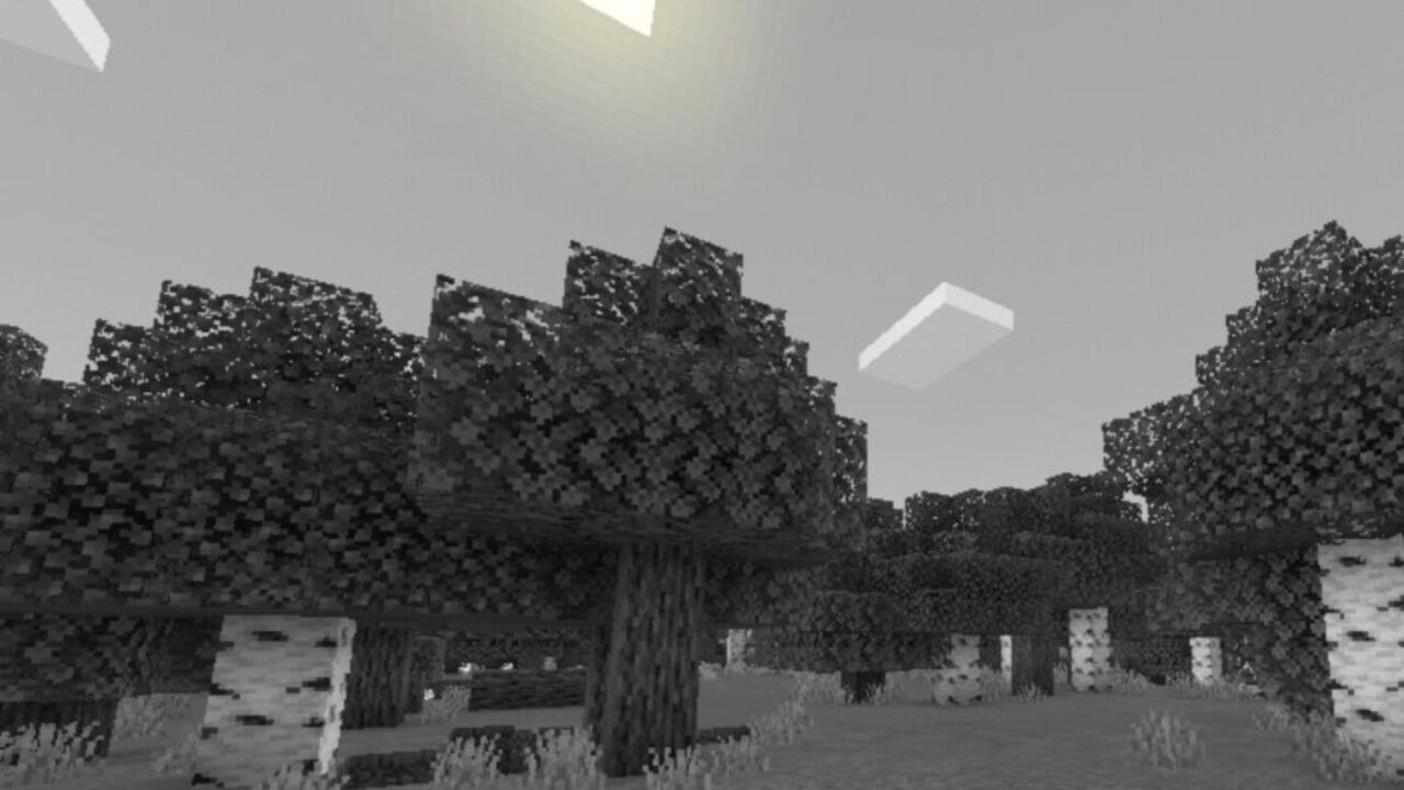 Forest from Black and White Textures for Minecraft PE