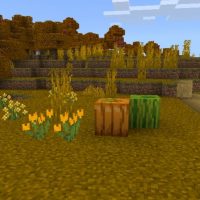 Autumn Texture Pack for Minecraft PE