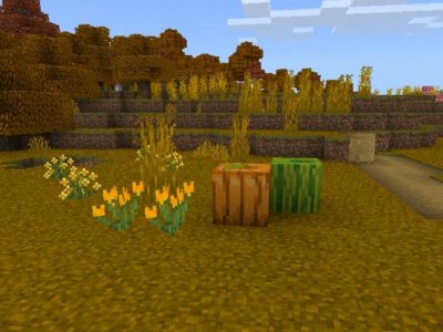 Bare Bones Texture Pack for Minecraft PE: Download