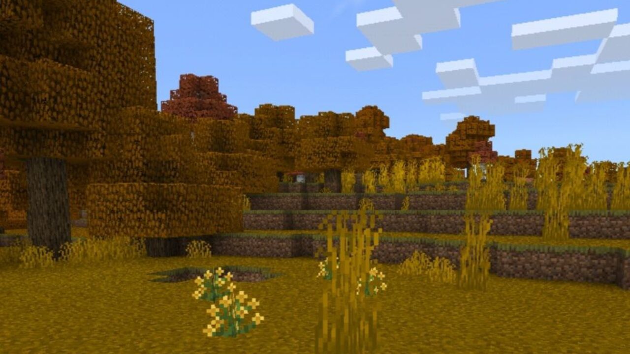 Plants from Autumn Texture Pack for Minecraft PE