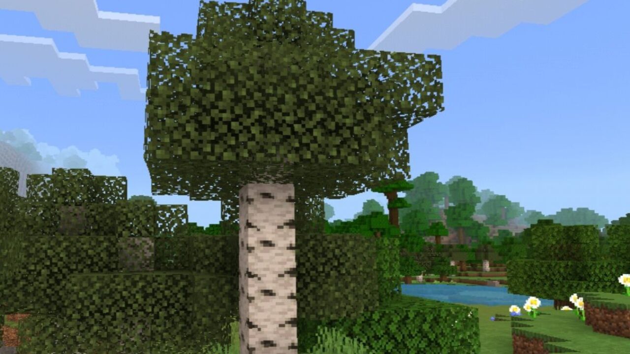 Trees from Sildurs Basic Shader for Minecraft PE