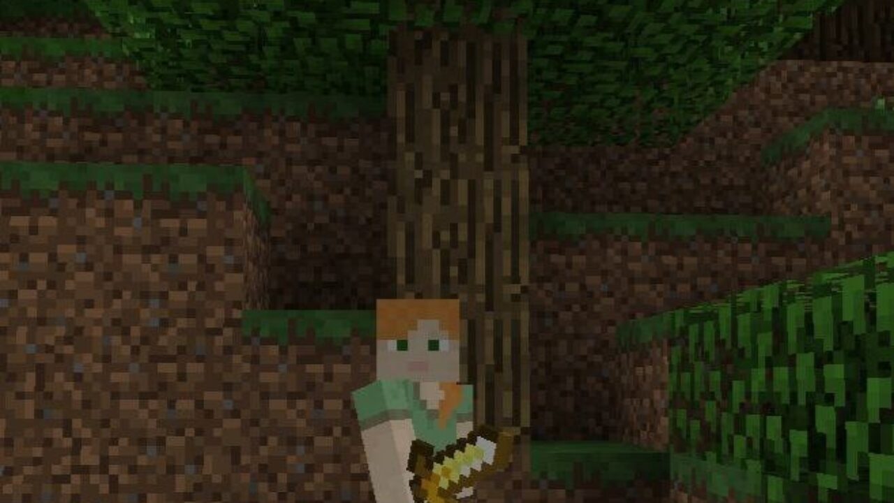 Steve with Sword from Short Swords Texture Pack for Minecraft PE