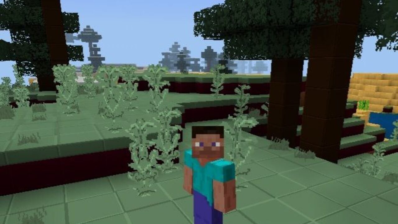 Bushes from New Plastic Texture Pack for Minecraft PE