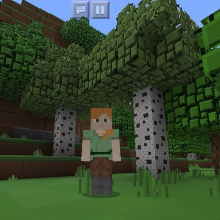 Plastic Texture Pack for Minecraft PE