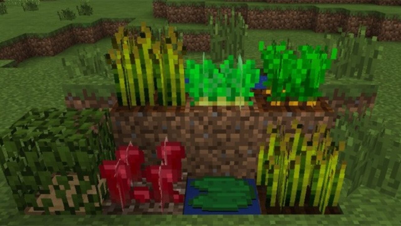 Plants from Waving Plants Shaders for Minecraft PE