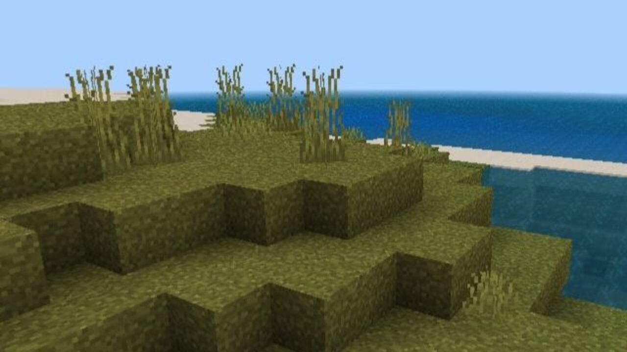 Grass from Modern HD Texture Pack for Minecraft PE