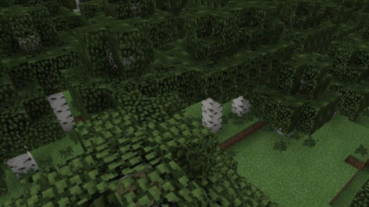 Forest from Waving Plants Shaders for Minecraft PE