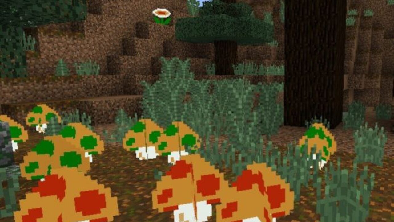 Different Mushrooms from Super Mario Texture Pack for Minecraft PE