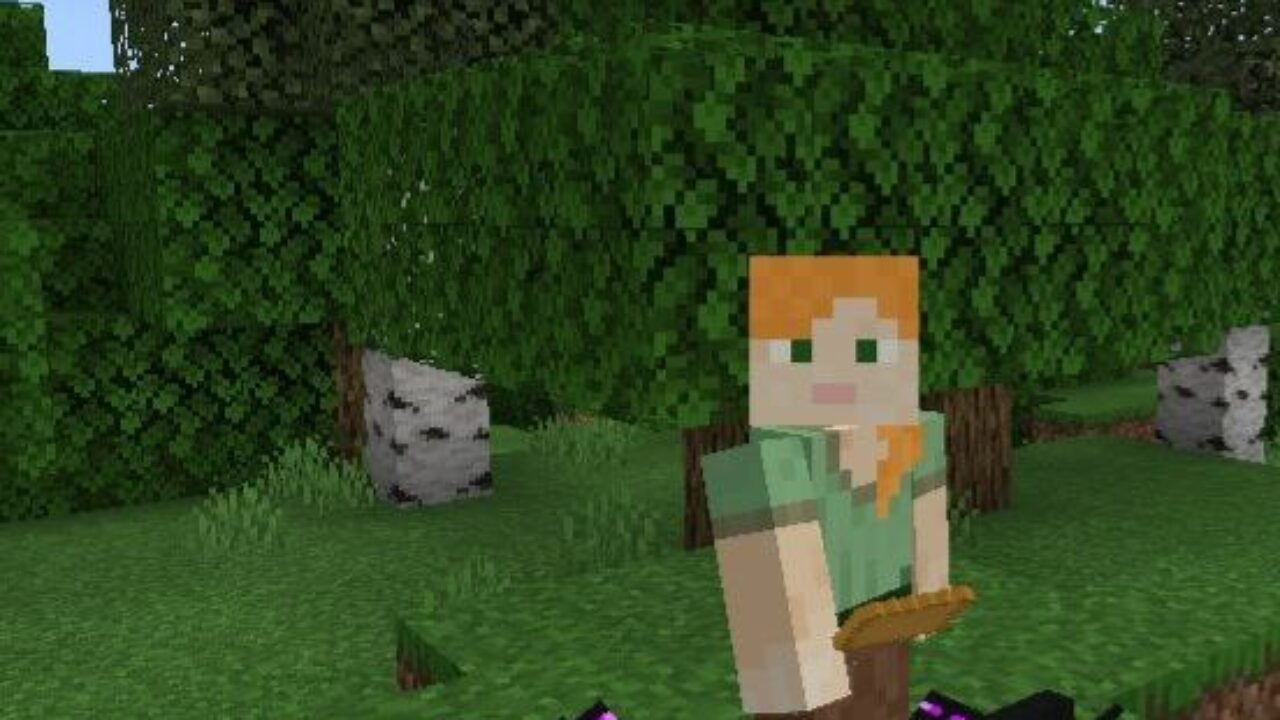 Cats Mod for Minecraft PE