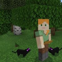 Cats Mod for Minecraft PE