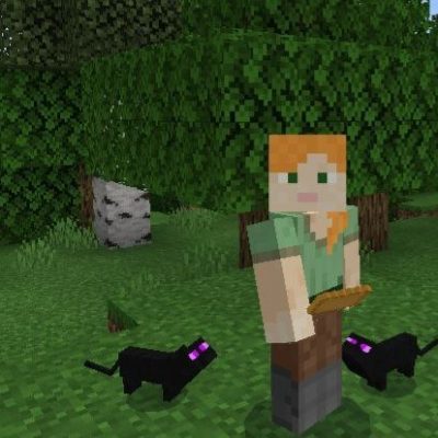 Cats Mod for Minecraft PE
