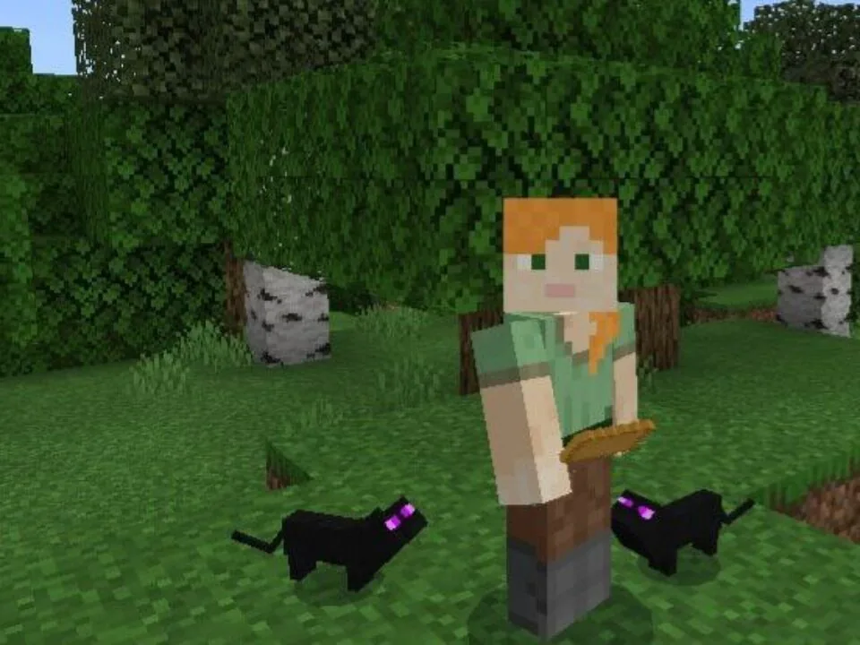Cats Mod for Minecraft PE