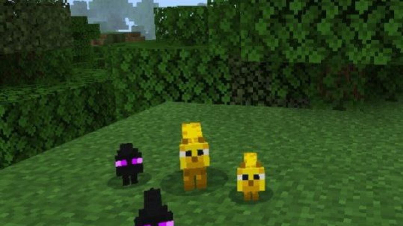 Different Cats from Cats Mod for Minecraft PE