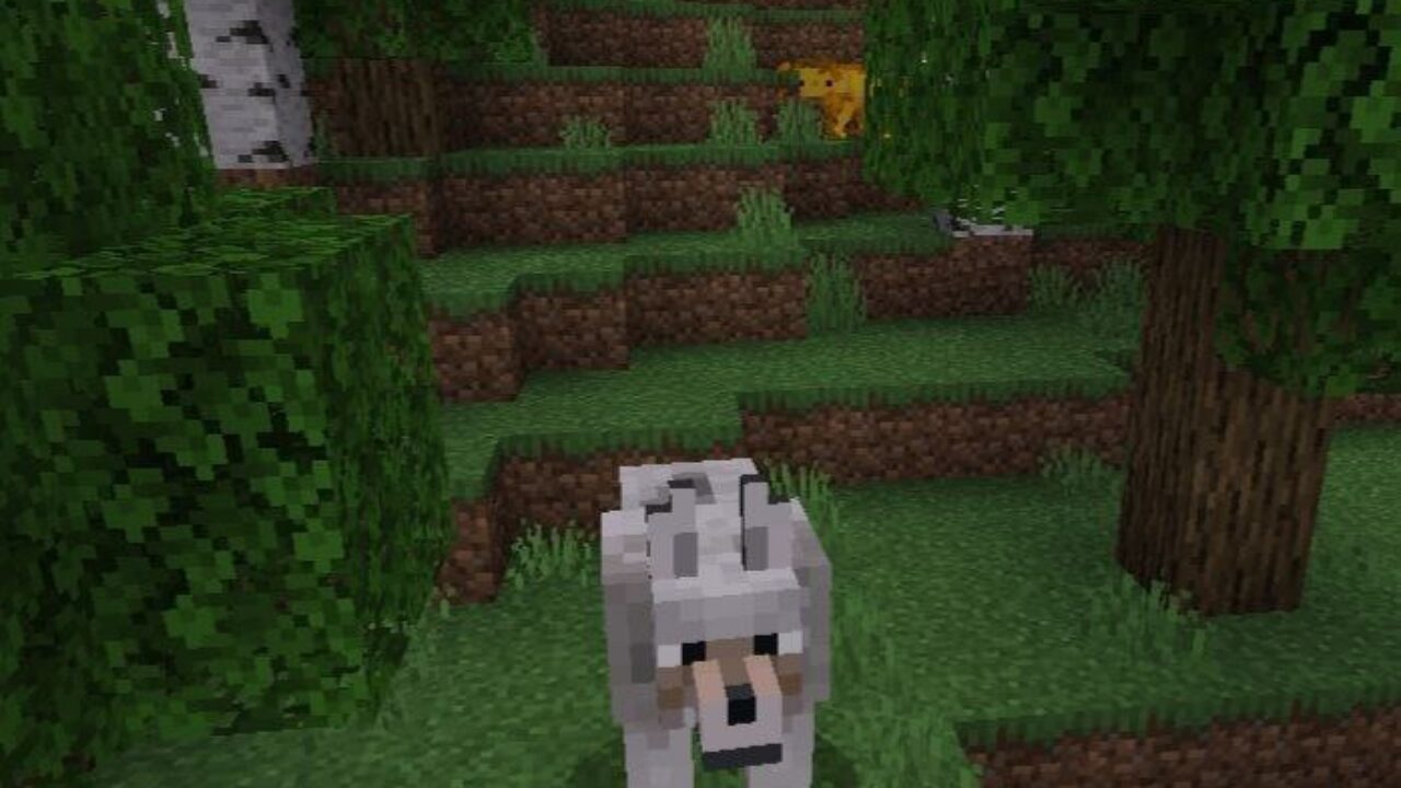 Wolf from Mutant Beasts Mod for Minecraft PE