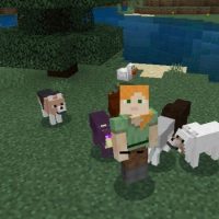 Wolf Mod for Minecraft PE