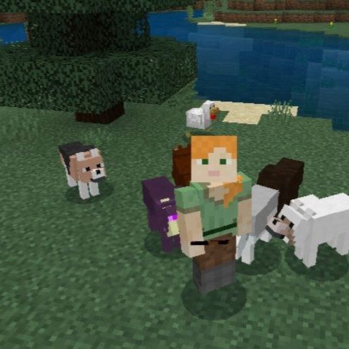 Wolf Mod for Minecraft PE