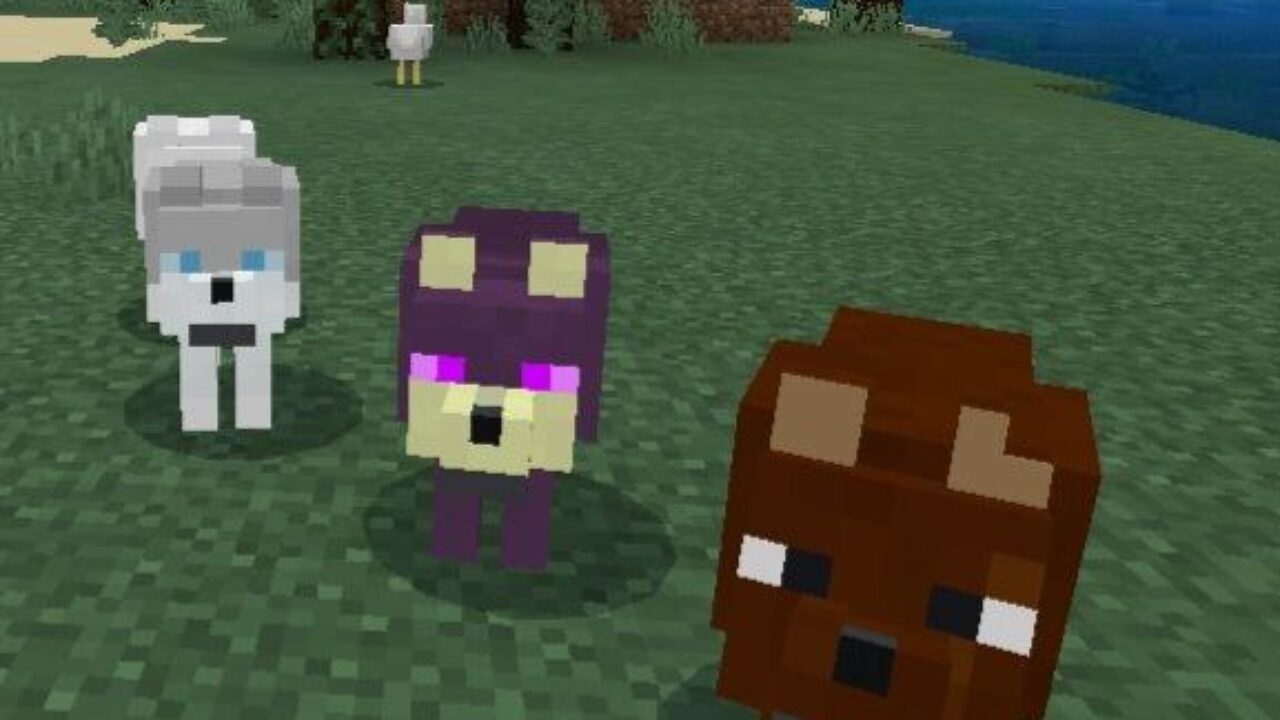 Different Wolves from Wolves Mod for Minecraft PE