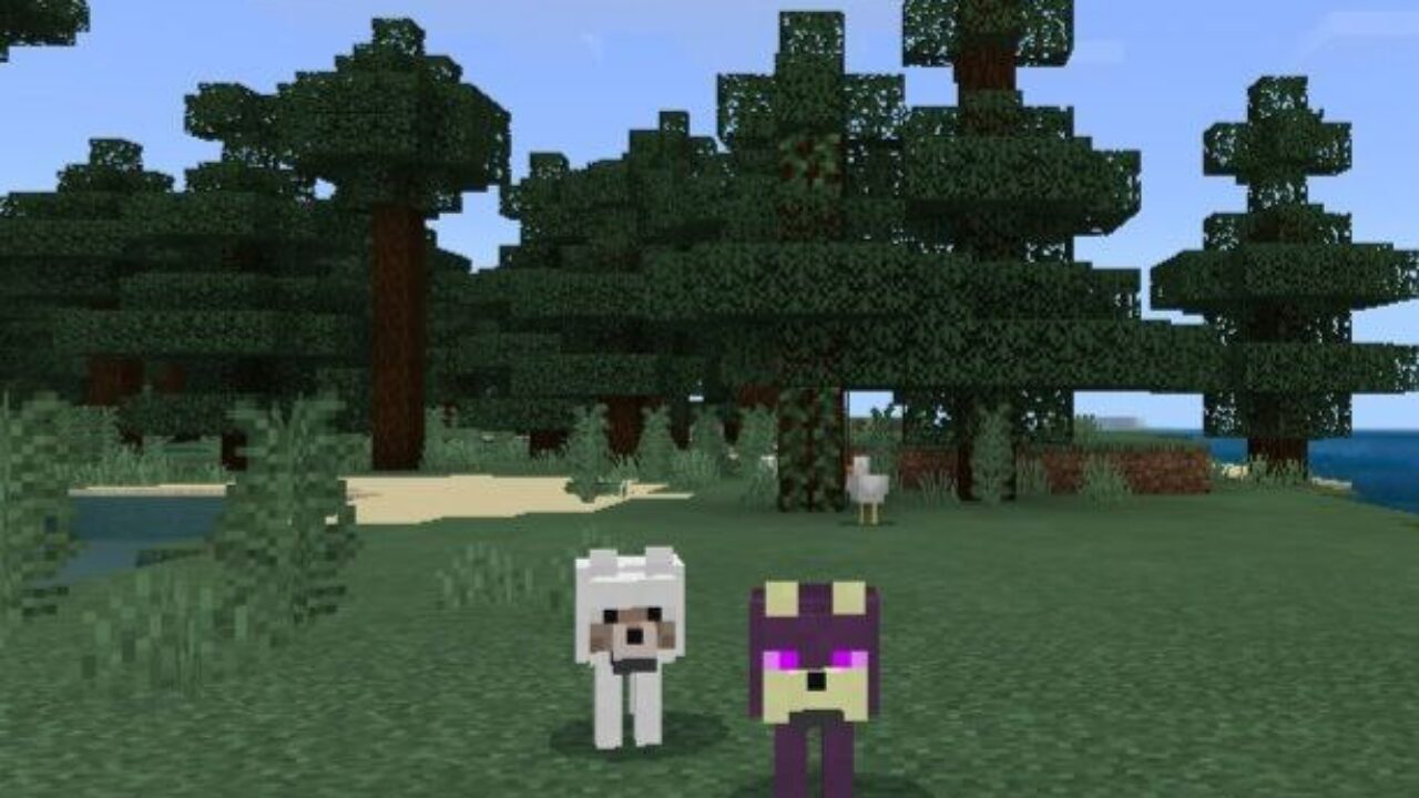 White and Scary Wolves from Wolves Mod for Minecraft PE