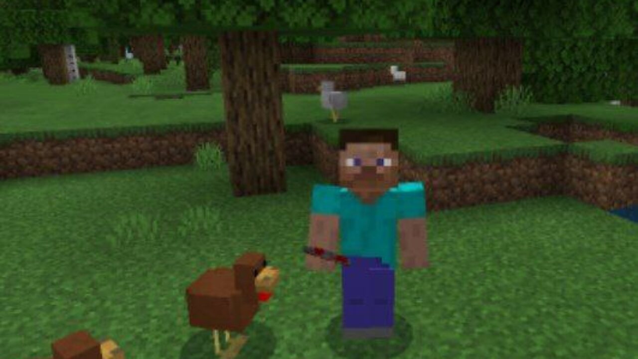 Brown Chicken from Chicken Mod for Minecraft PE