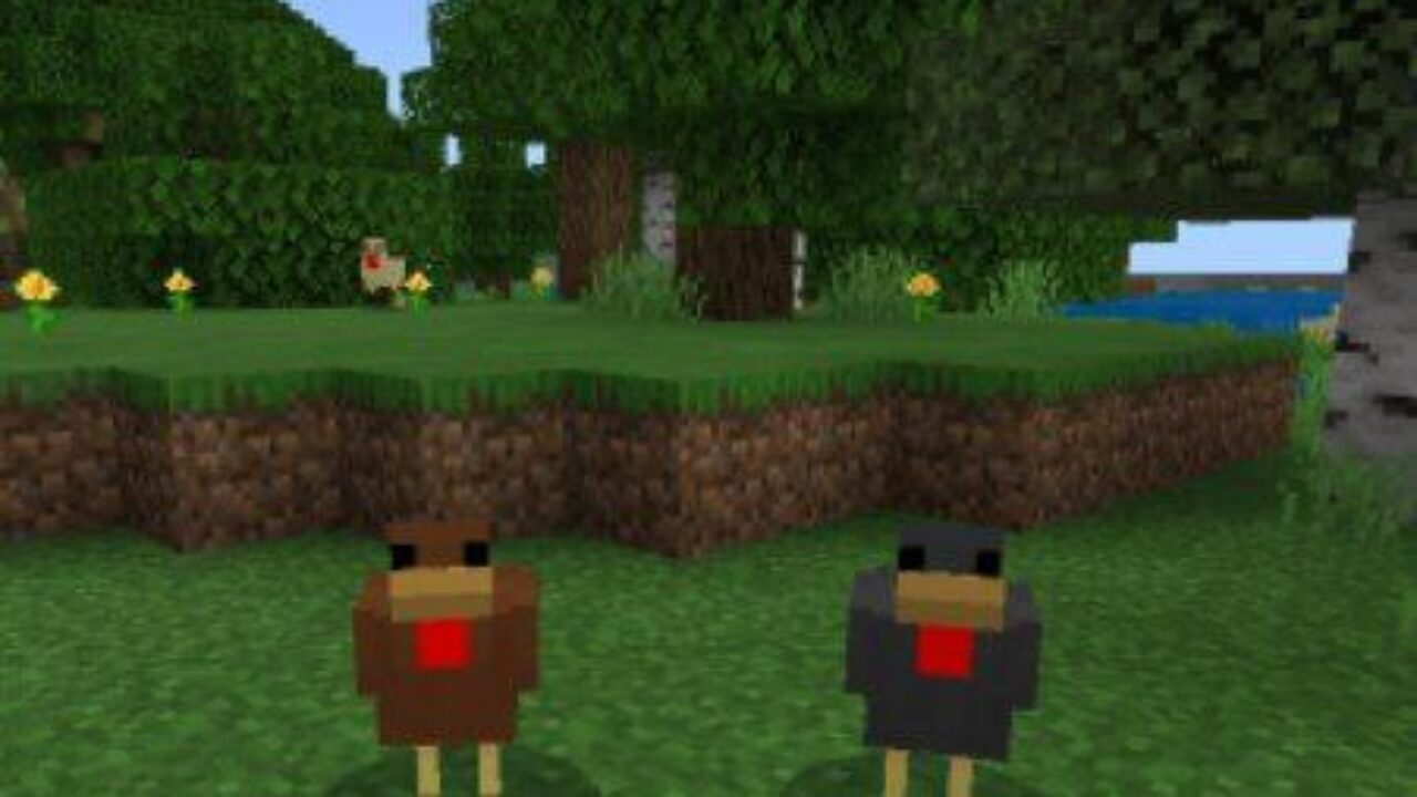 Brown and Black Chickens from Chicken Mod for Minecraft PE